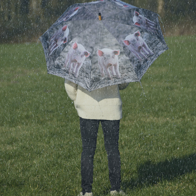 Paraguas Animales de Granja Color